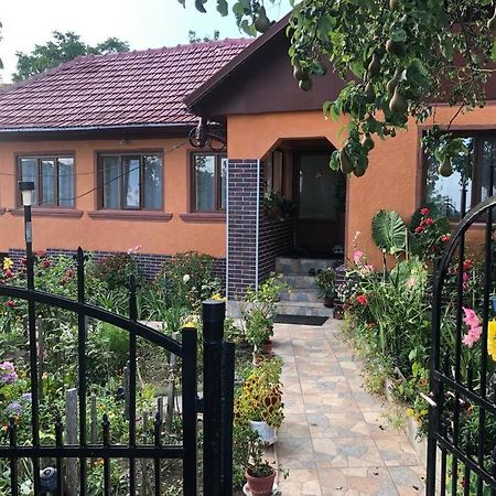 Casuta Bunicilor Isverna Hotel Bagian luar foto